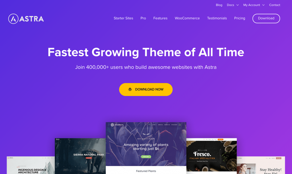 astra-woocommerce-themee-1024x609-2