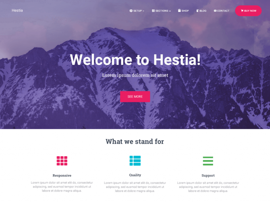 hestia-1024x768-1-3 Hestia Free WooCommerce Themes For WordPress