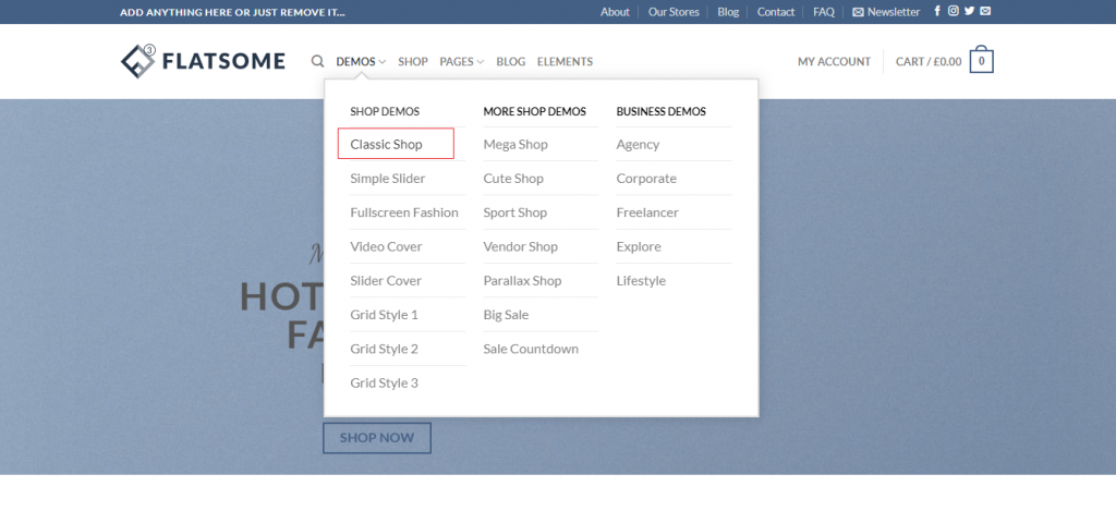 shop-demo-1024x480-2