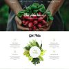Theme WordPress thực phẩm sạch 28